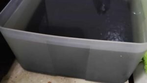 Alerta sanitaria por agua contaminada en Guadalajara preocupa a ciudadanos