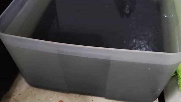 Alerta sanitaria por agua contaminada en Guadalajara preocupa a ciudadanos