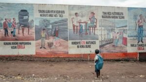 Ebola en África: una crisis que podría costar 3.600 millones de dólares