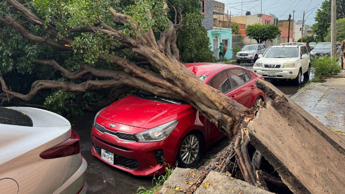Más de 200 vehículos varados y calles inundadas en Guadalajara tras la tormenta de este 2 de julio.