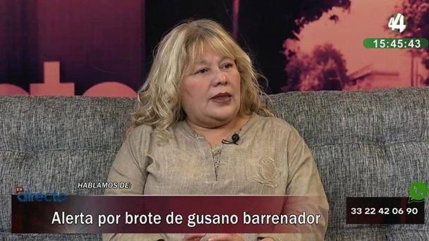 Gusano barrenador amenaza áreas metropolitanas, advierte epidemióloga