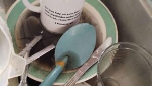 La mala calidad del agua del SIAPA afecta restaurantes en Guadalajara