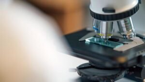 Circuitos genéticos y su influencia en la salud y enfermedad