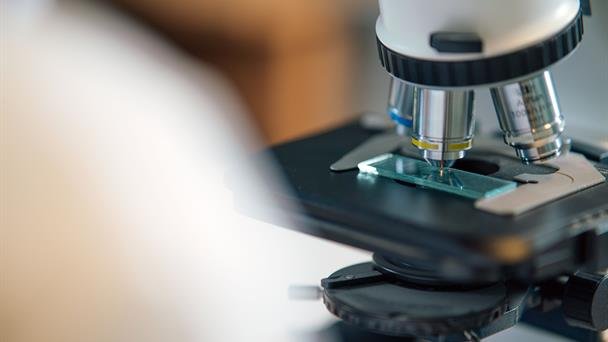 Investigadores describen los circuitos genéticos que afectan la respuesta inmunitaria en salud y enfermedad, revelando conexiones vitales.