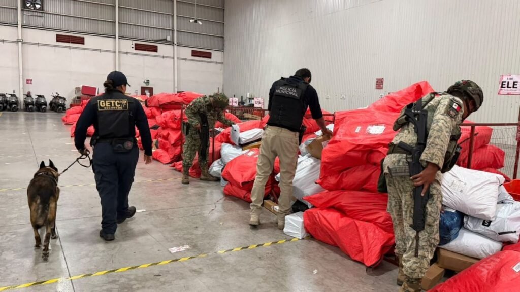 Descubren 6 kilos de marihuana en paquetería de Escobedo